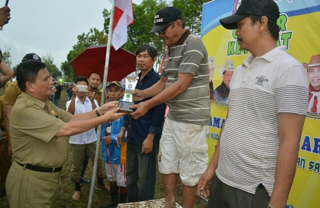  Wagub Tutup Lomba Pacuan Kuda dan Karapan Sapi