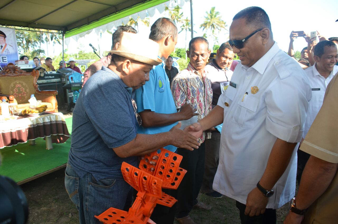  Penambak Udang Vaname Banjir Bantuan Dari Gubernur