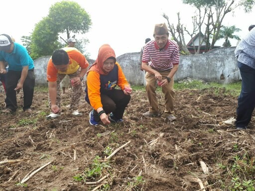  Petani Diminta Hindari Tengkulak dengan Dirikan Koperasi