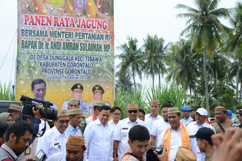  Mentan Panen Jagung, Gorontalo Ditarget Ekspor 100 Ribu Ton