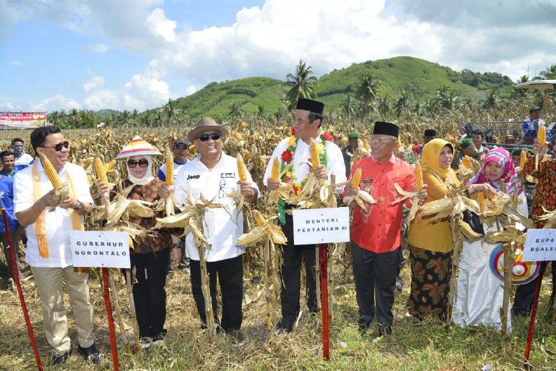  Mentan RI : Branding Jagung Gorontalo Mendunia