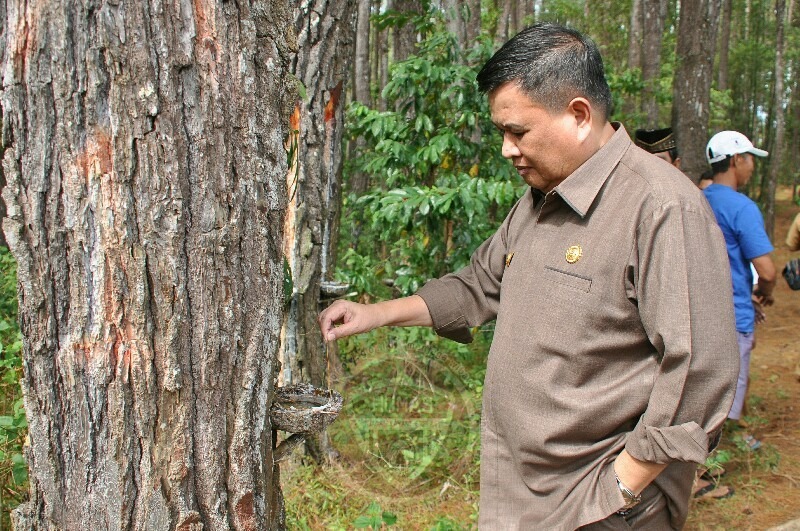  Pemprov Gorontalo Dukung Pengembangan Agroforestri di Desa Motilango