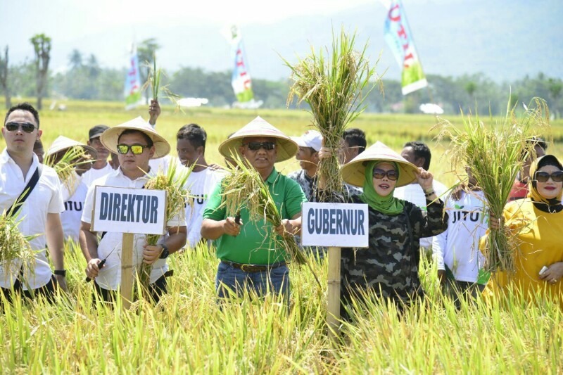  Gubernur Gorontalo Panen Raya Padi di Bone Bolango