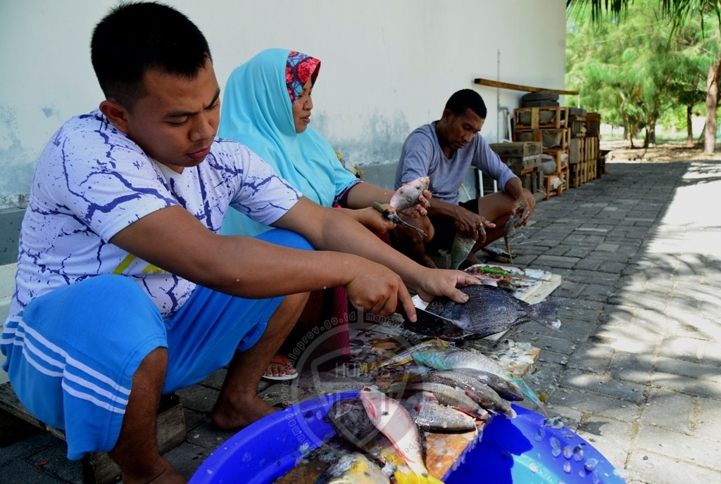  BERSIHKAN IKAN