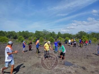  Lestarikan Lingkungan, DKP Gorontalo Tanam 1000 Mangrove