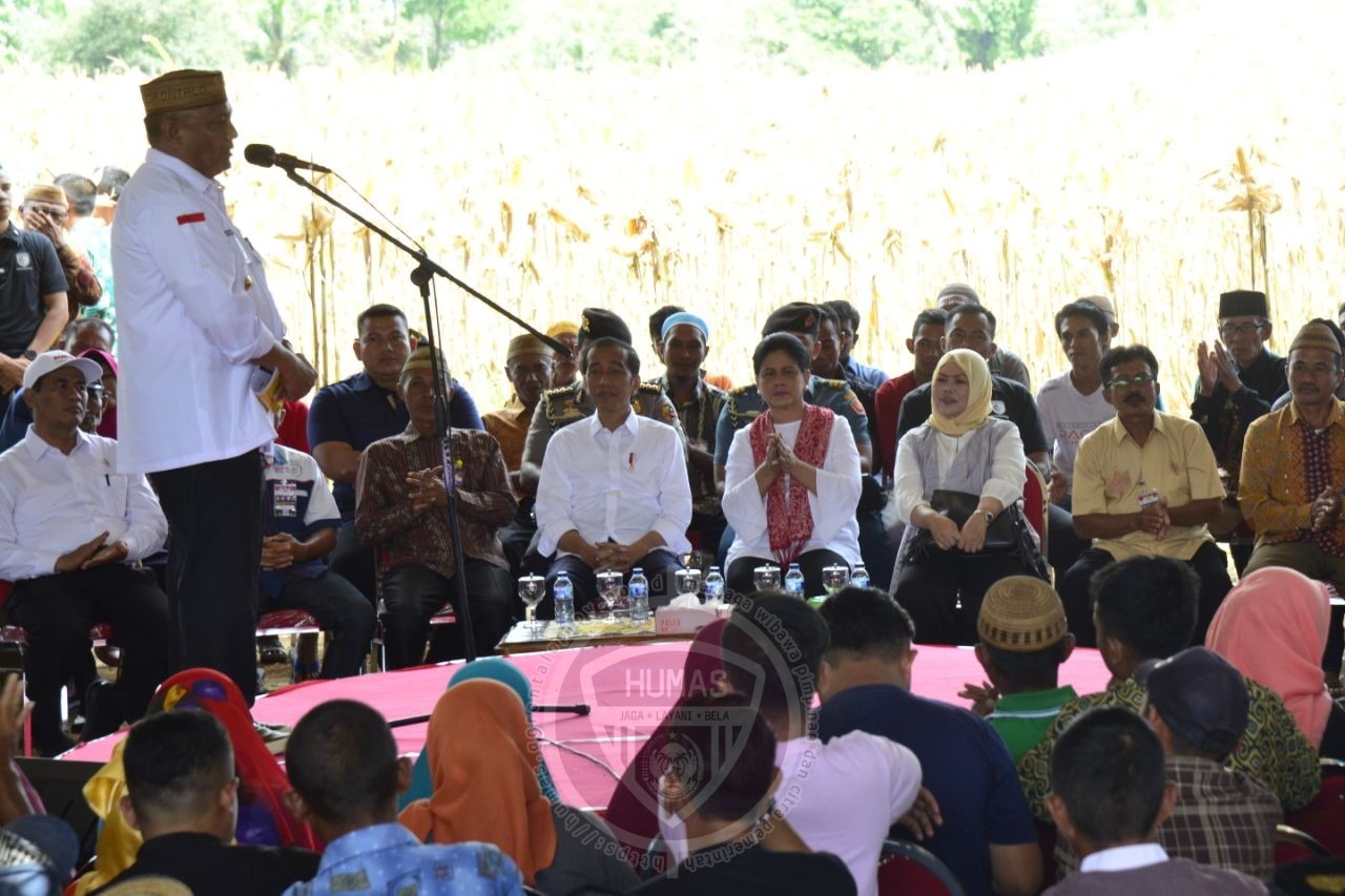  Program Gratis Presiden Bantu Masyarakat Gorontalo