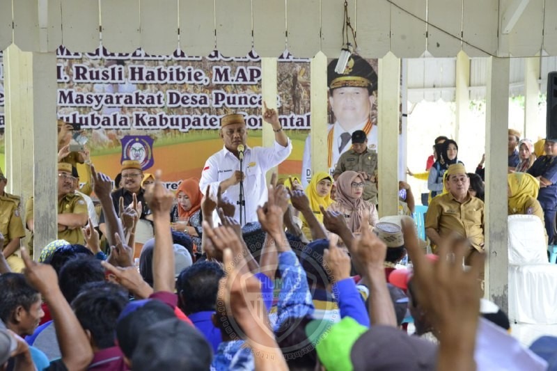  Transmigran Pulubala Terima Bantuan Benih Jagung dan Ternak