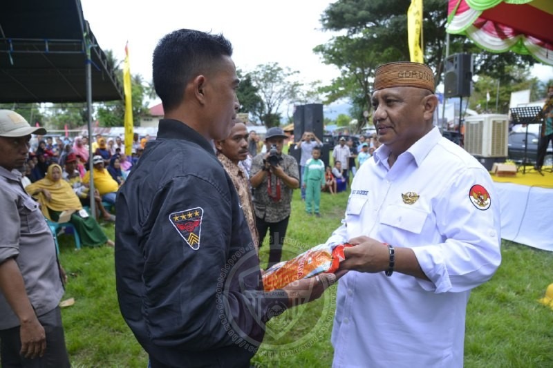  Petani Sumalata Terima Benih Jagung Gratis