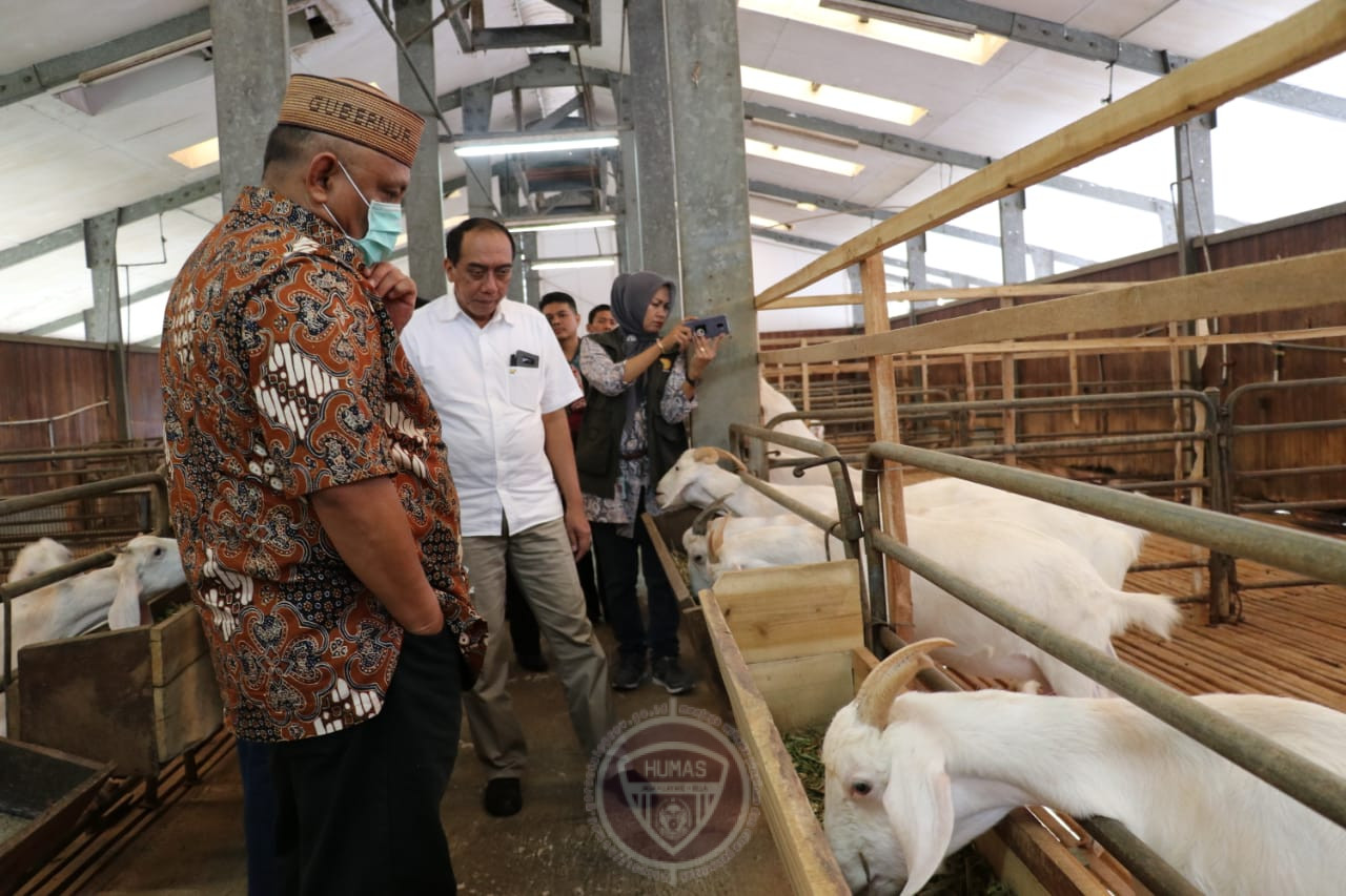  Kembangkan Peternakan Kambing, Gubernur Gorontalo Tinjau Balitnak Ciawi