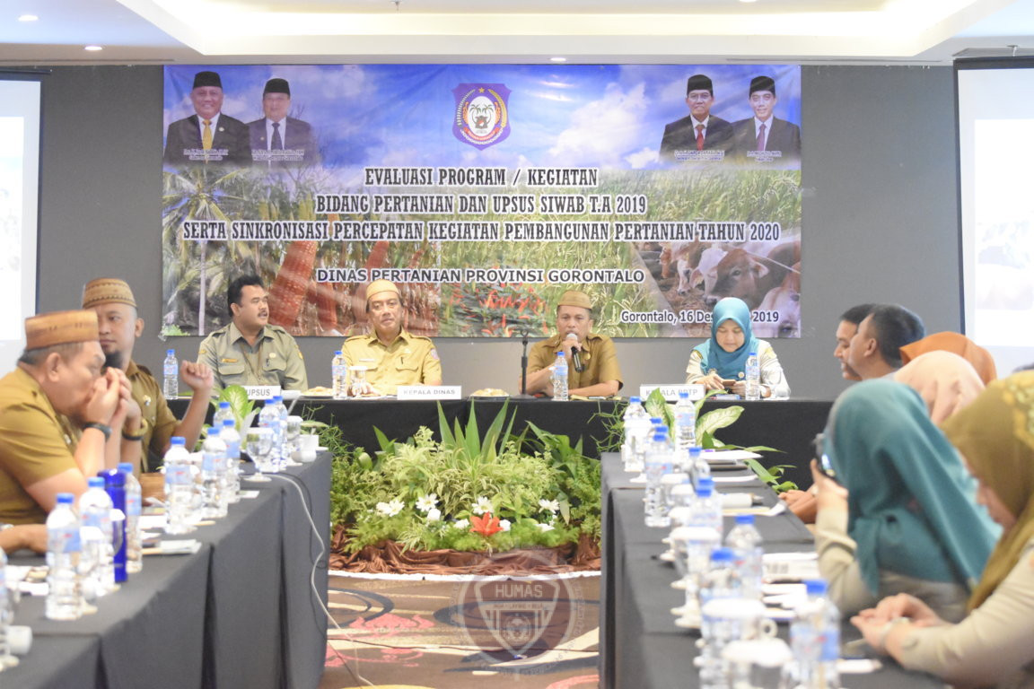  Produksi dan Populasi Peternakan Gorontalo Meningkat Signifikan