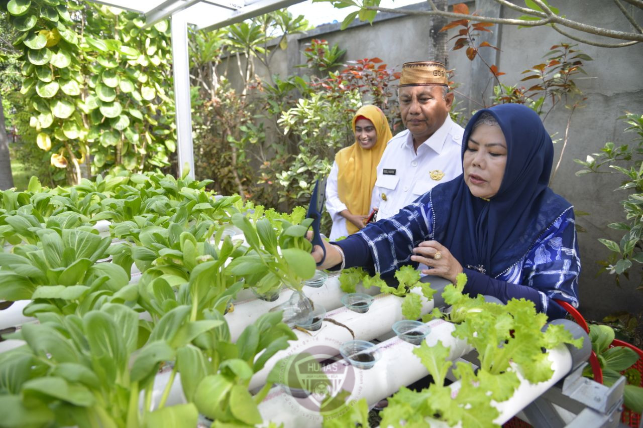  Gubernur Gorontalo Dorong ASN Tanam Sayur Aquaponik