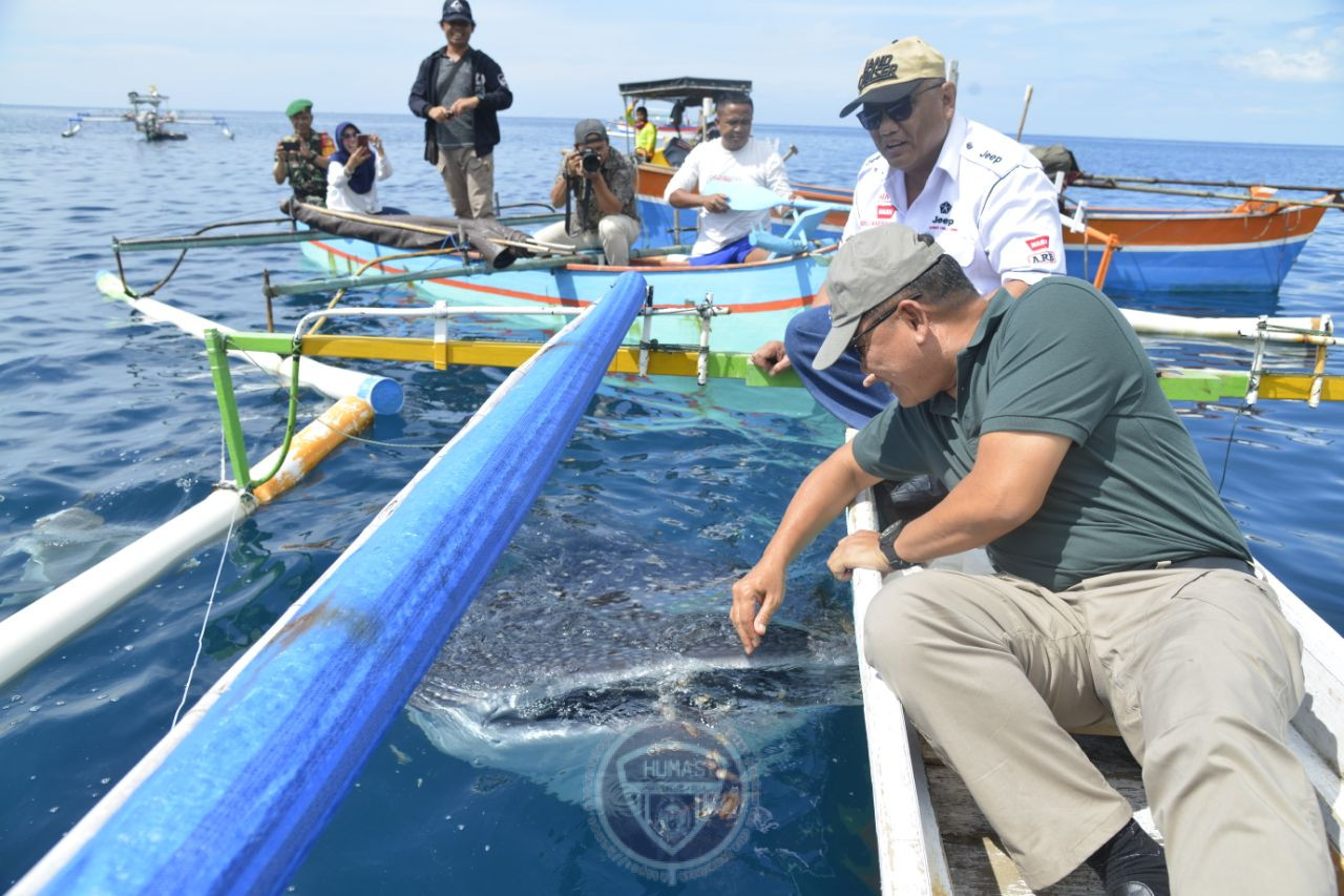  Dankodiklat TNI Terpesona Dengan Wisata Hiu Paus