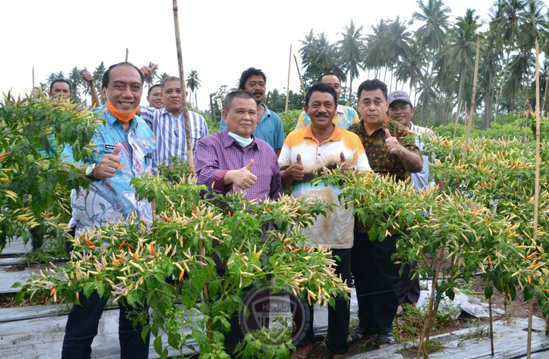  Wagub Gorontalo Dorong Pengembangan Kawasan Hortikultura