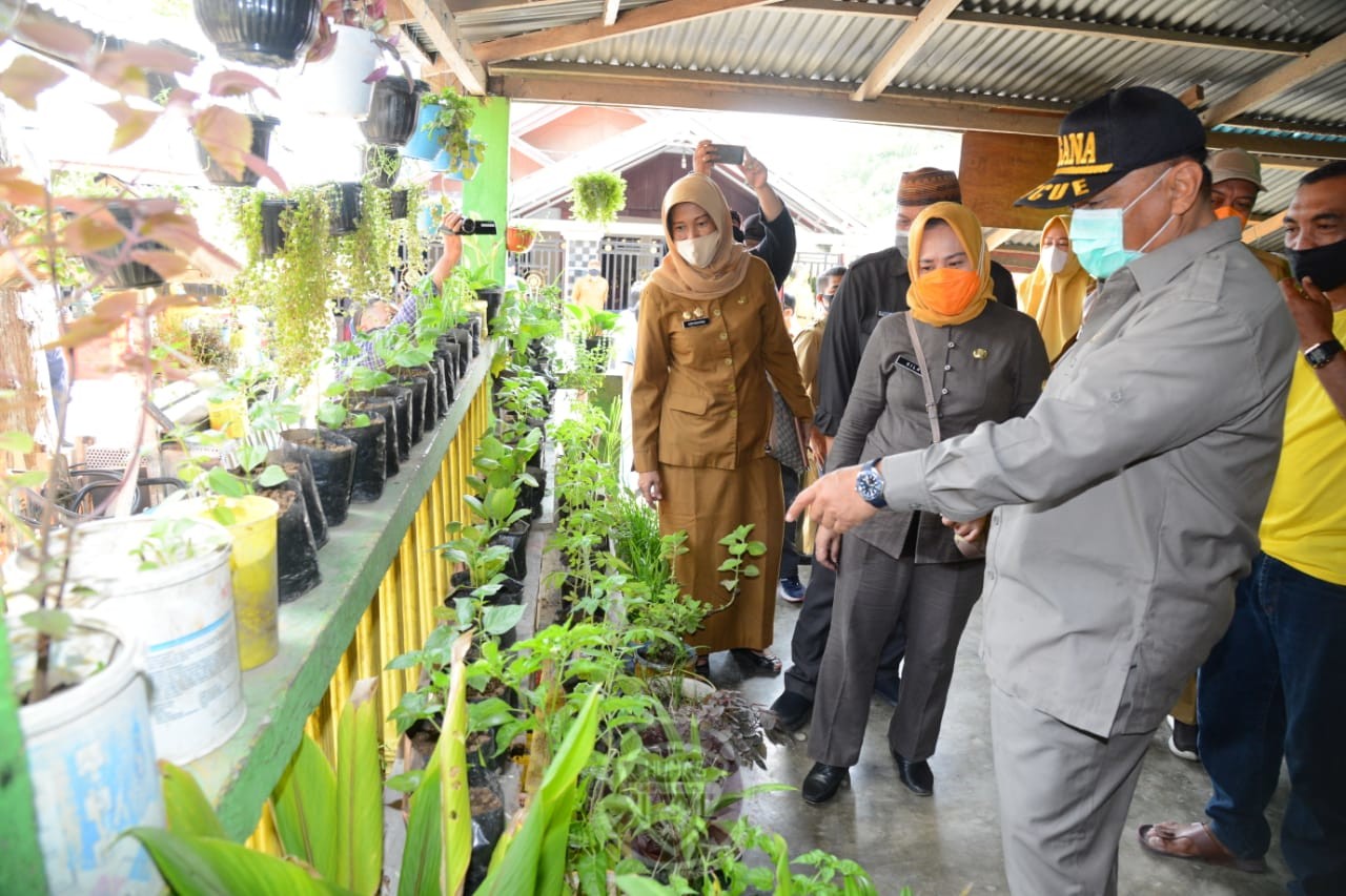  Penerima Bantuan Pemprov Gorontalo Wajib Berkebun