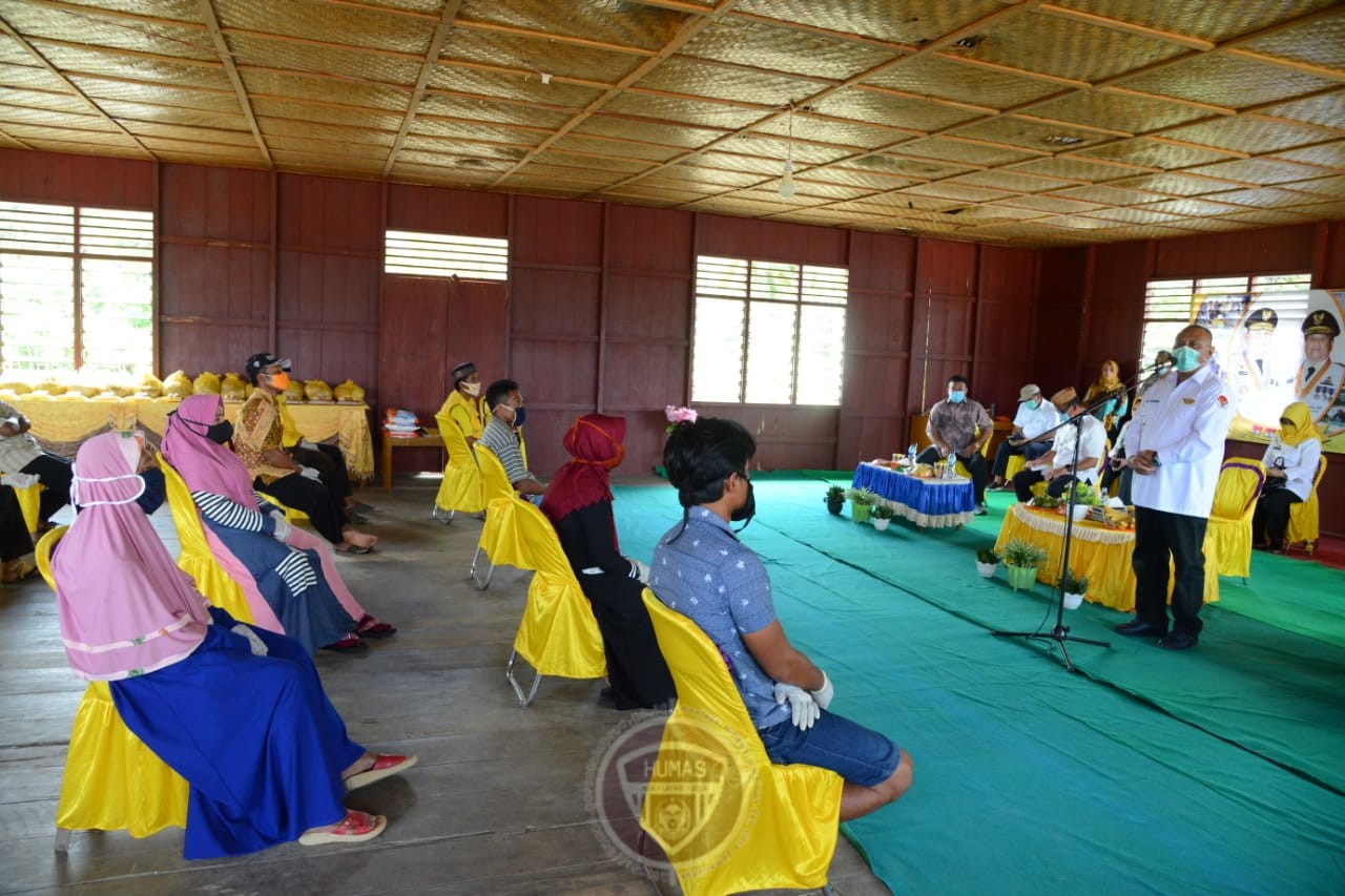  Benih Jagung untuk 24.500 Ha Lahan Pohuwato Dicairkan