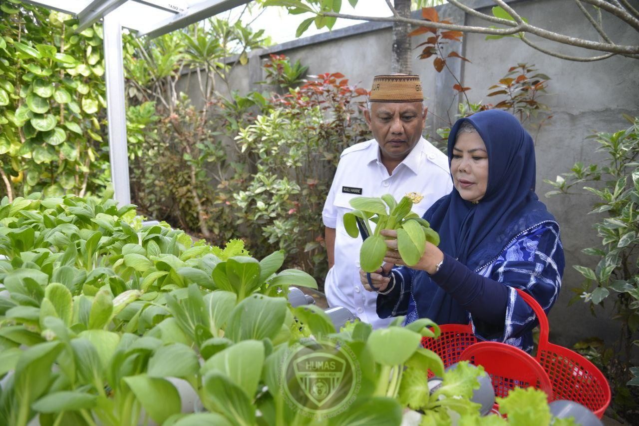  Penuhi Kebutuhan ‘Barito’ Keluarga, Gubernur : Saya Cukup ke Pekarangan Rumah