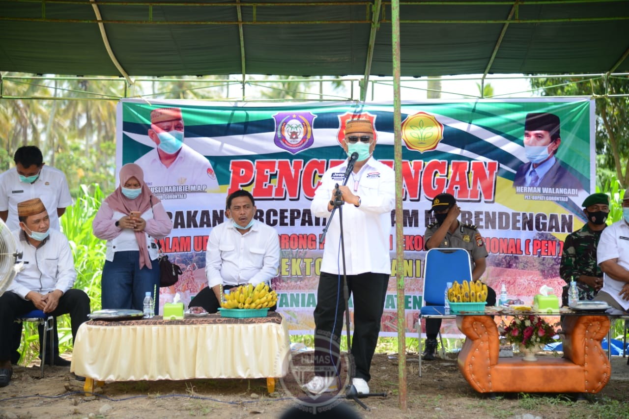  Sembilan Kelompok Tani Pulubala Terima Bantuan Benih Jagung Hibrida