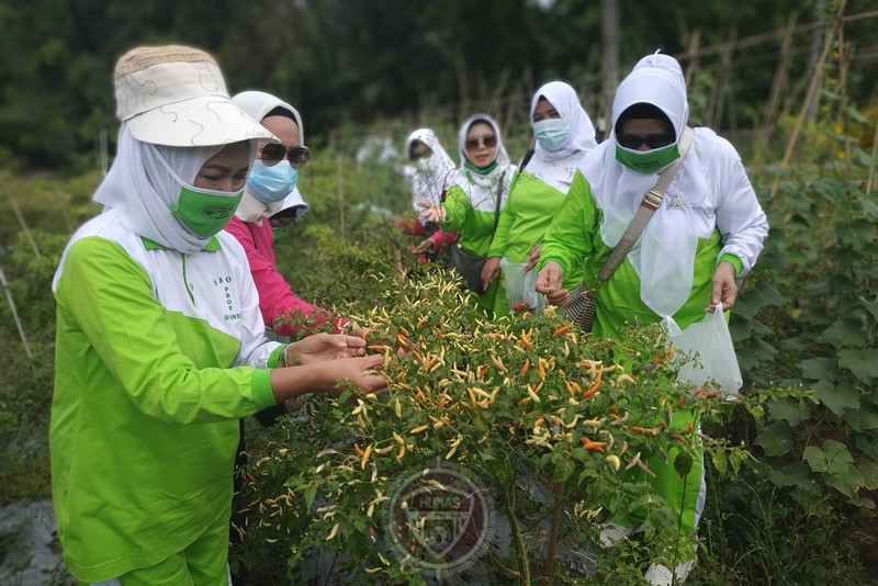  BKOW Gorontalo Sosialisasikan Gerakan Ketahanan Pangan Keluarga