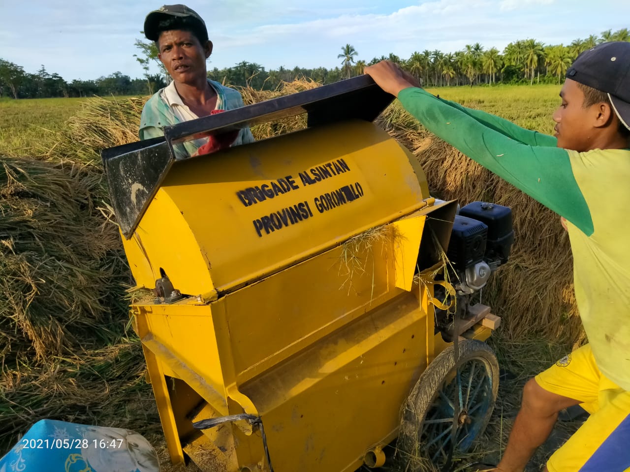  Combine Harvester Terbatas, Petani Disarankan Pinjam Perontok Padi