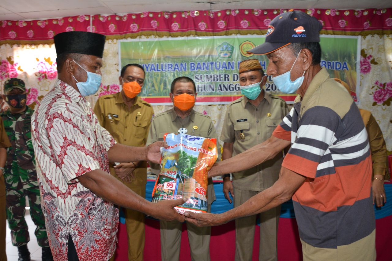  Wagub Idris Monitoring Penyaluran Benih Jagung di Botumoito