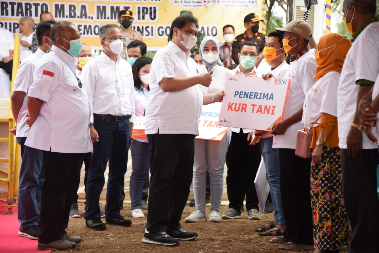  Panen Jagung di Gorontalo, Menko Airlangga Serap Aspirasi Petani