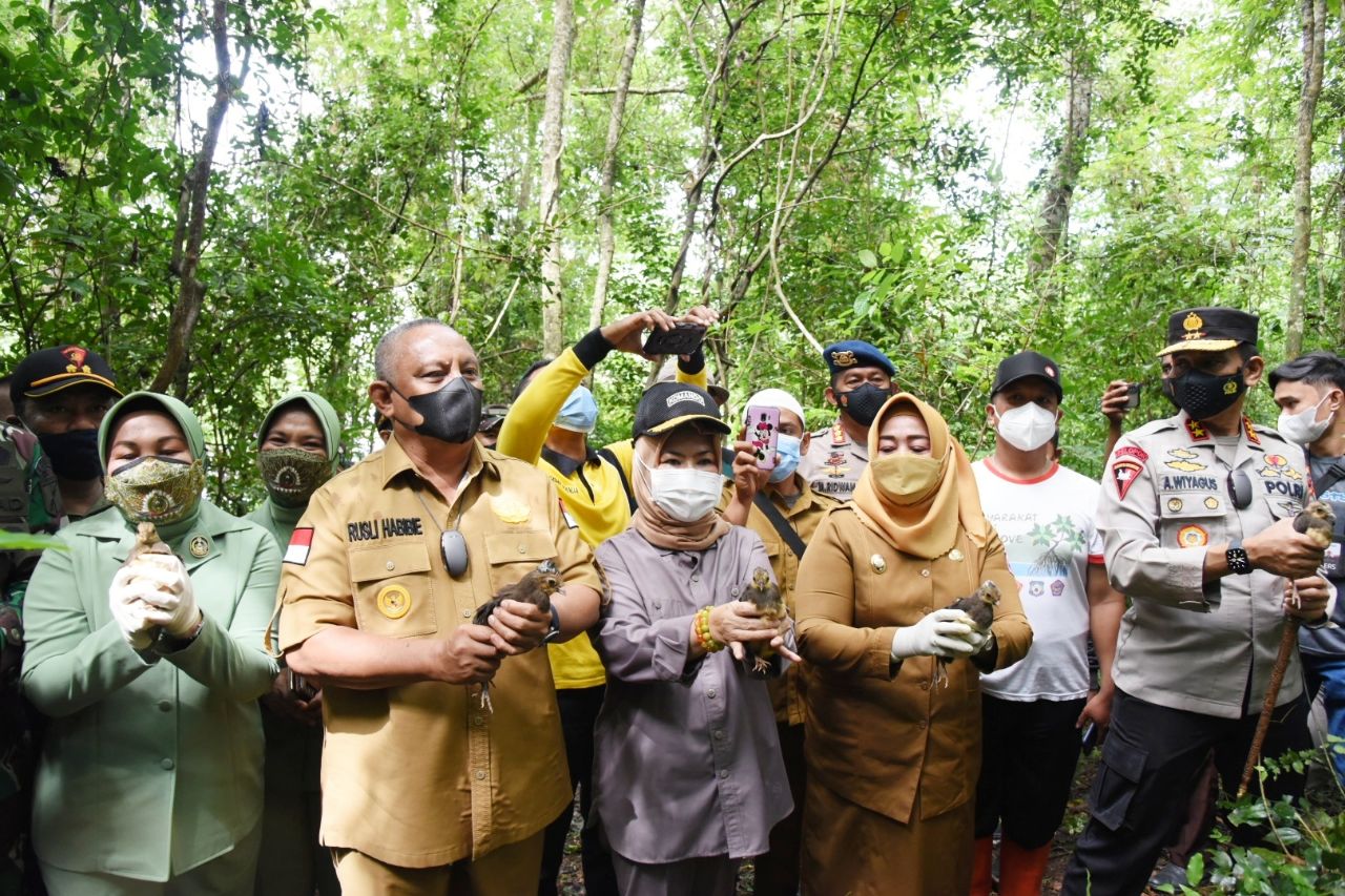  Tanam 53.000 Mangrove, Gubernur Gorontalo Bicara Isu Lingkungan