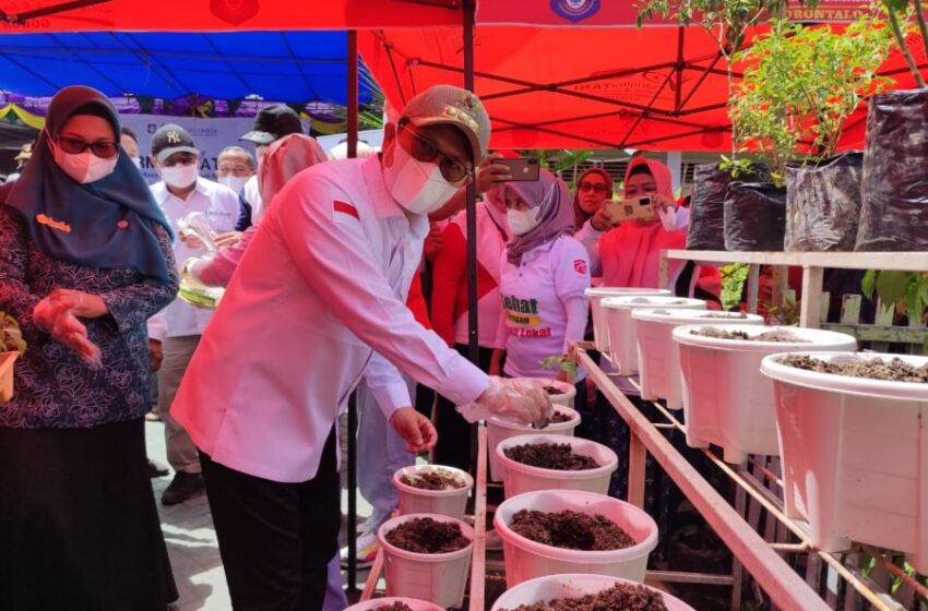  Germas Batari Diharapkan Jadi Solusi Harga Rica Mahal