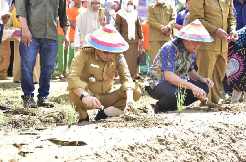  Penjagub Gorontalo Terus Gencarkan Gerakan Tanam Cabai, Ini Tujuannya