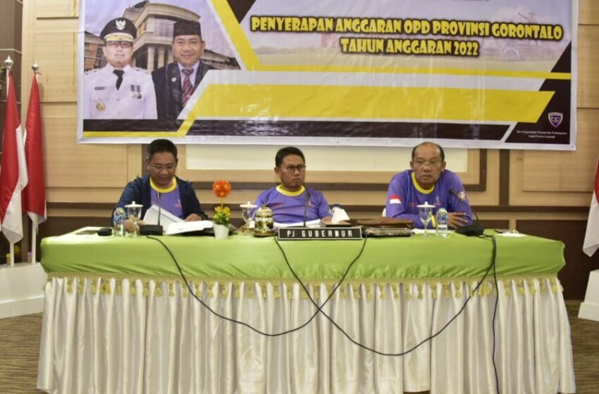  Penjagub Hamka Minta OPD Maksimalkan Realisasi Anggaran 2022