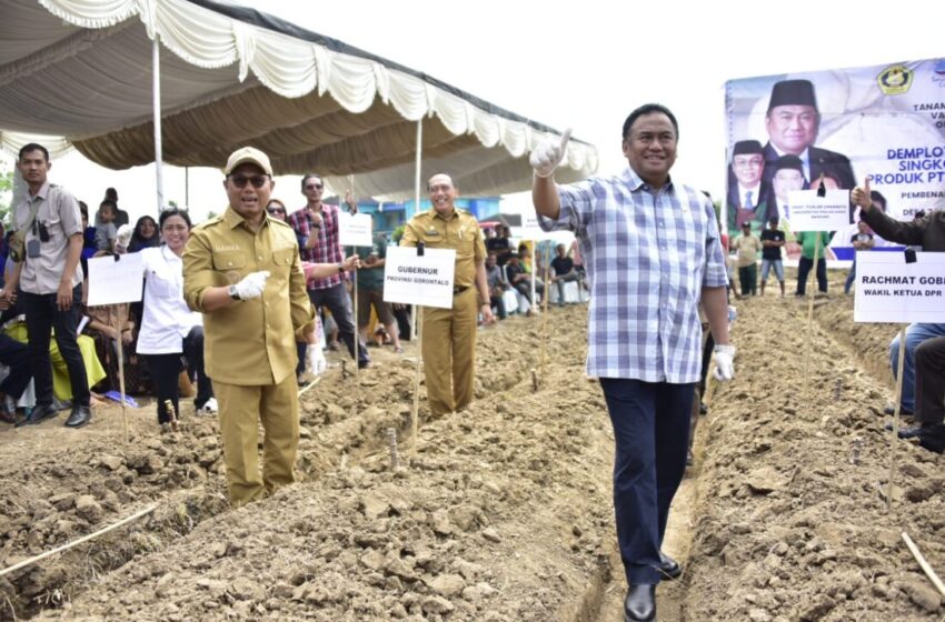  Penjagub Gorontalo Hadiri Tanam Perdana Singkong di Lahan Demplot