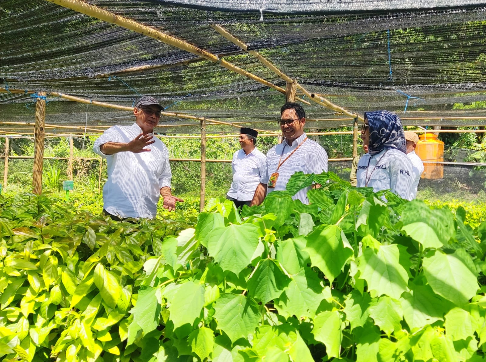  Kebun Bibit Rakyat Diharapkan jadi Penopang Ekonomi Desa