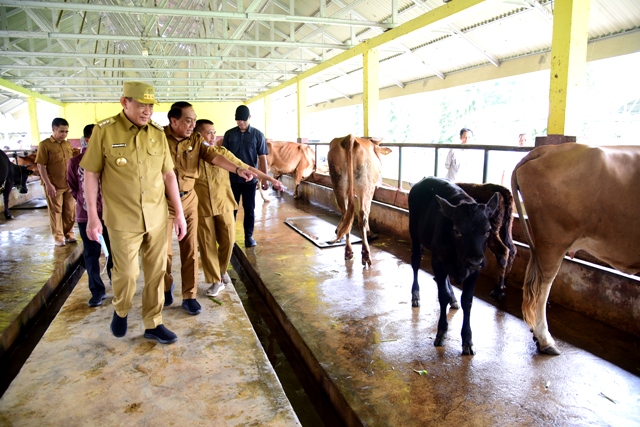  UPT Wonggahu Jadi Pusat Inseminasi Buatan Gratis