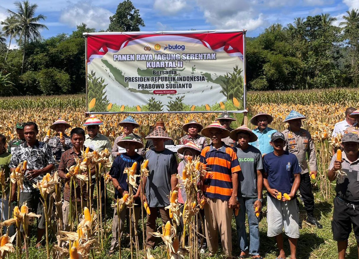 Panen Raya Kuartal II, Gorontalo Catat Produksi 55.606 Ton