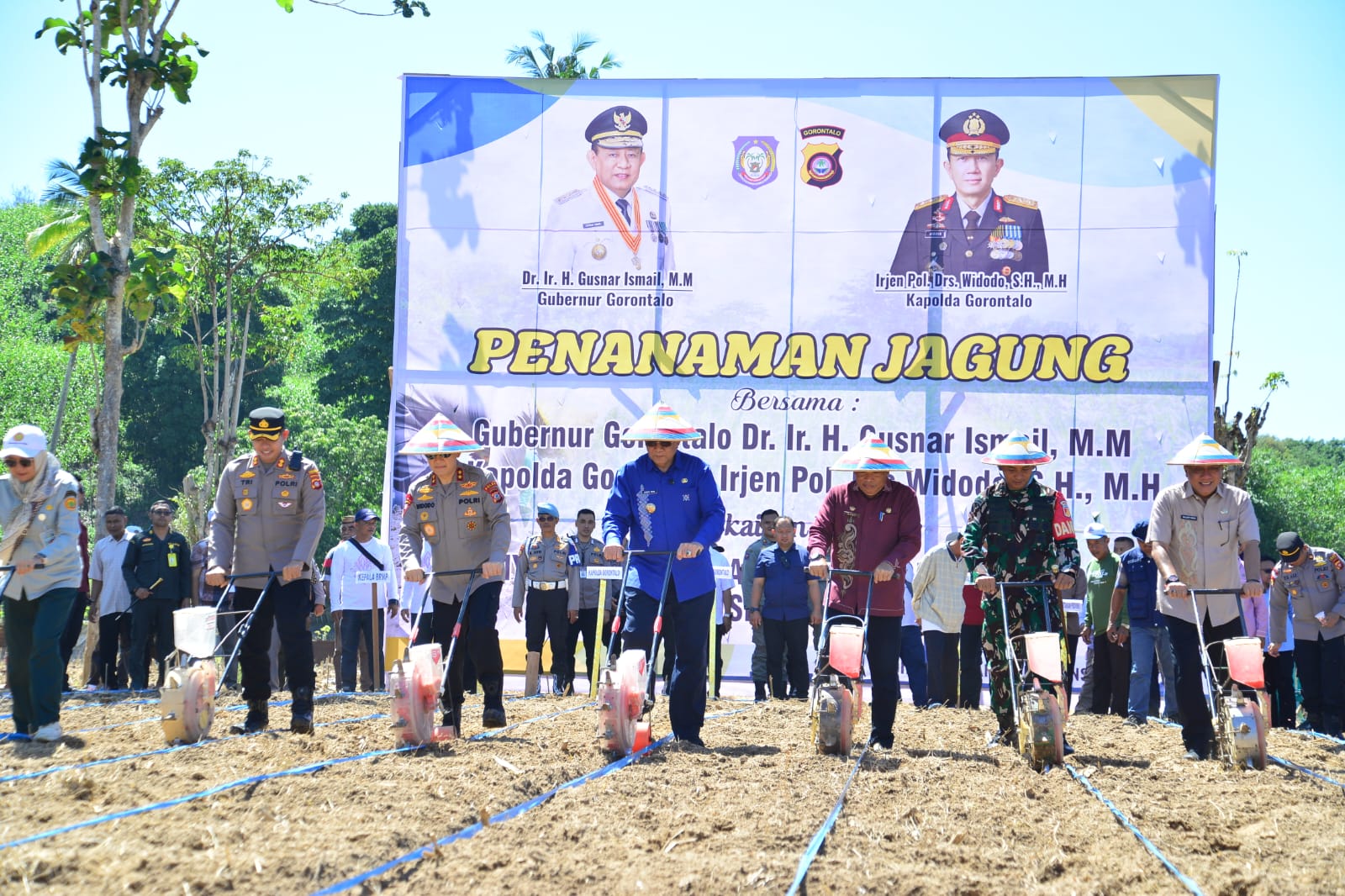 Kenalkan Wajah Provinsi, Lahan Sepanjang GORR ditanami Jagung dan Padi