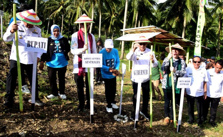 Gubernur Gusnar dan Dubes Australia Tanam Jagung Program DAP