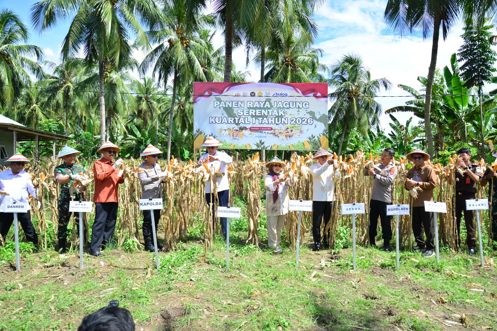  Gorontalo Targets 1.5 Million Tons of Corn Production for 2026
