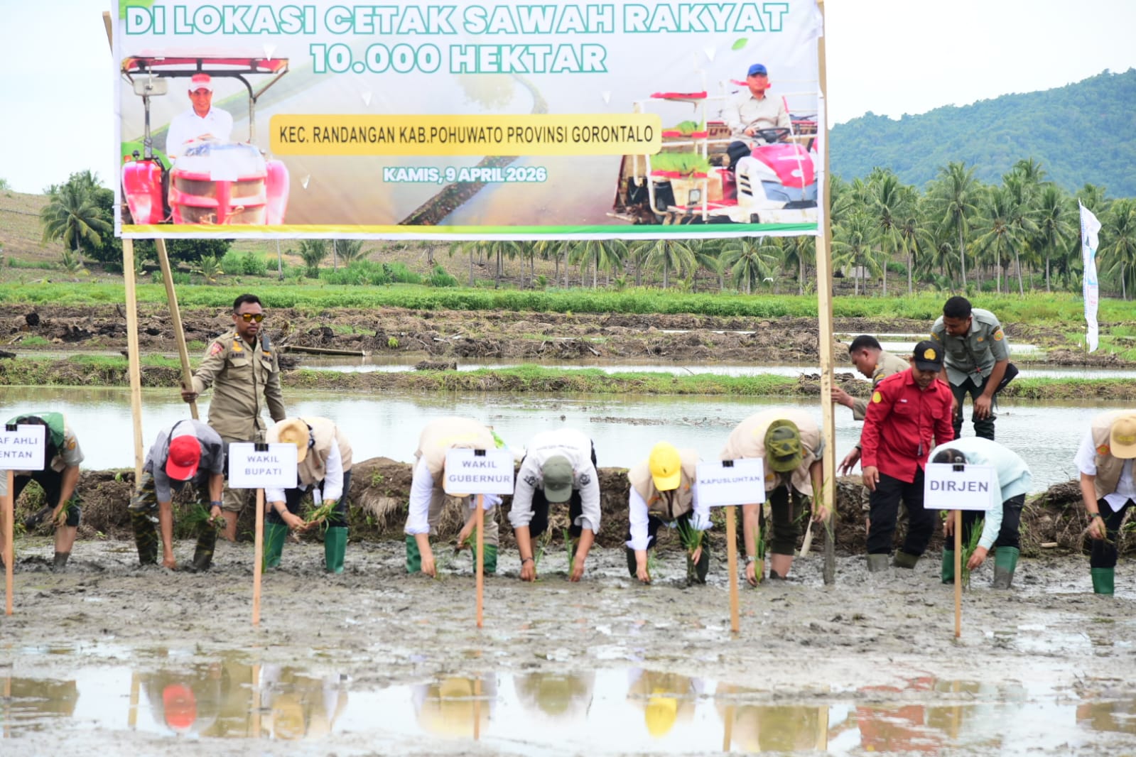  Wagub Turun Langsung Tanam Padi di Lokasi CSR Randangan