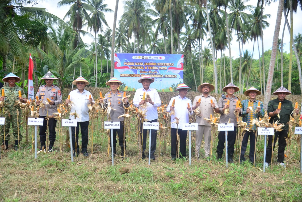  Kejar Target Swasembada, Luas Tanam Jagung di Gorontalo Ditingkatkan
