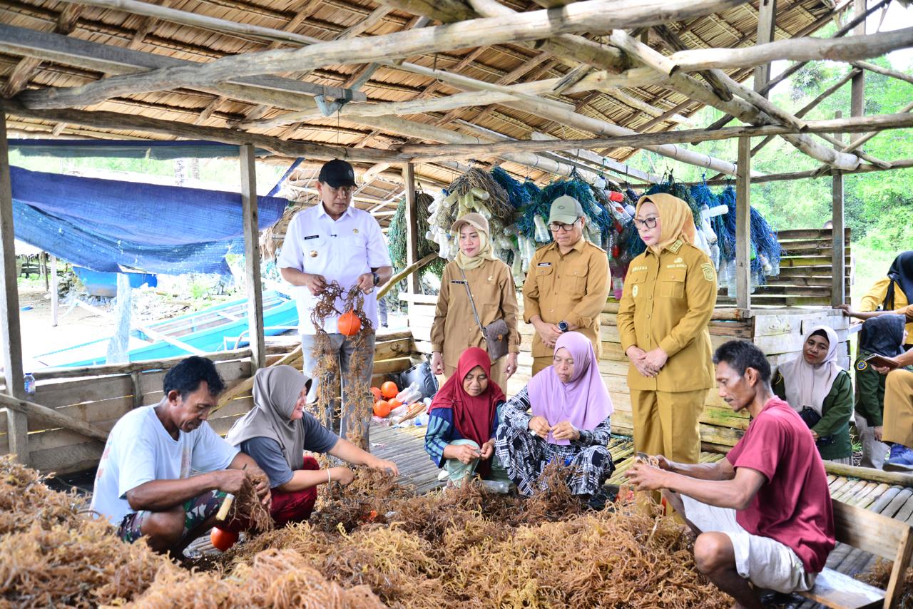  Gubernur Gorontalo Usul Sentra Rumput Laut Ilodulunga Dibangun KNMP