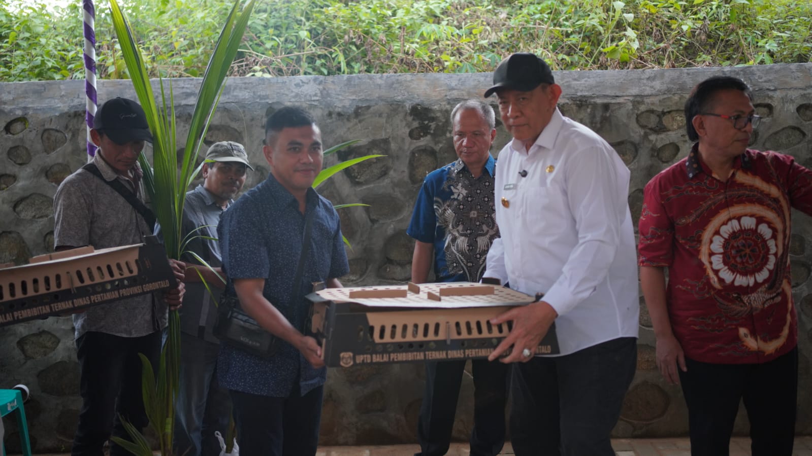  Gubernur Gusnar Perkuat Pengembangan Peternakan dan Perkebunan