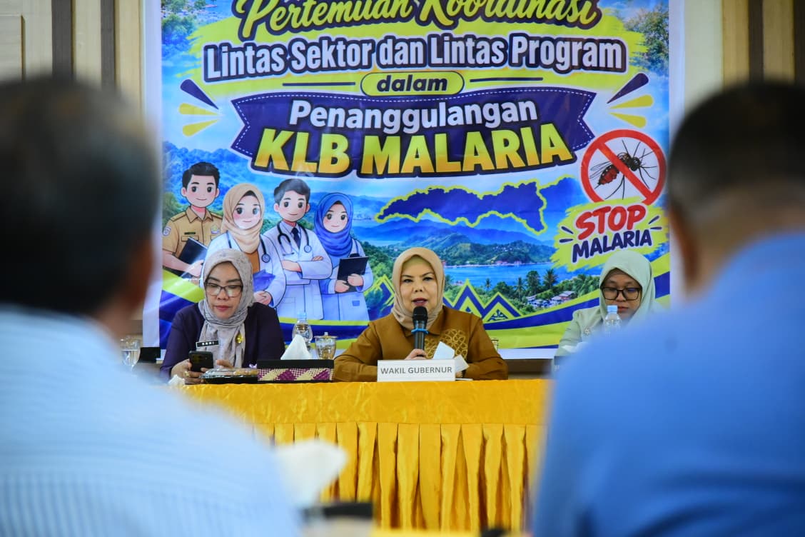  Kasus Malaria Melonjak, Wagub Idah Ajak Lintas Sektor Perkuat Penanggulangan